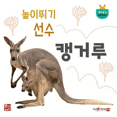 높이뛰기 선수 캥거루