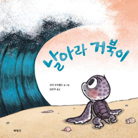 날아라 거북이 이미지