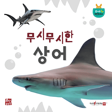 무시무시한 상어 이미지