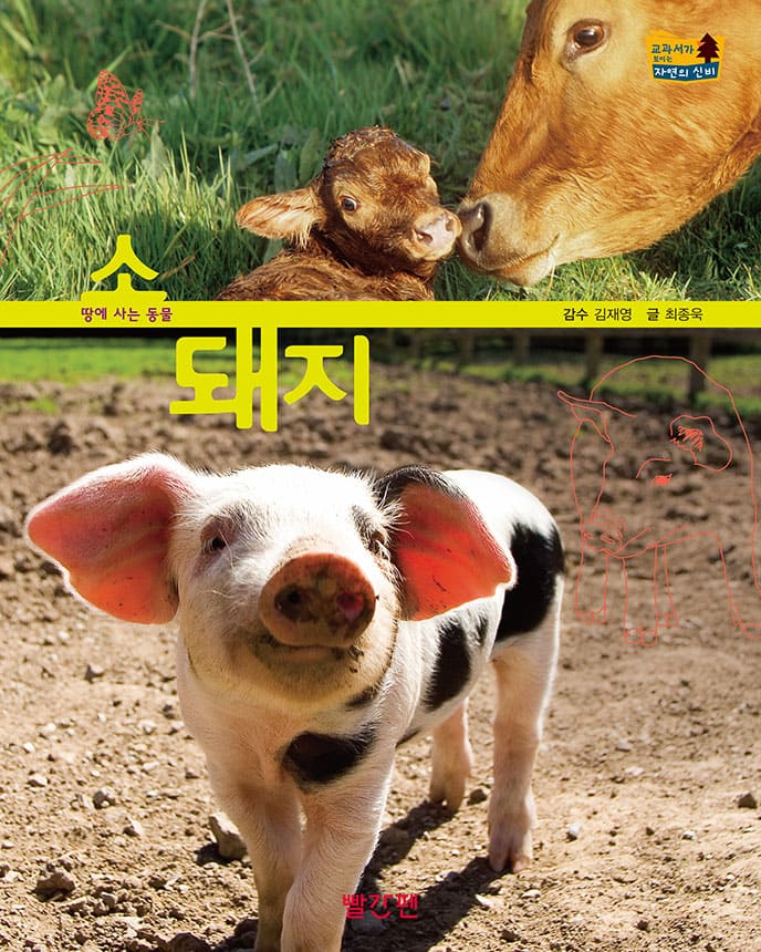소·돼지 이미지
