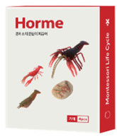 가재 이미지