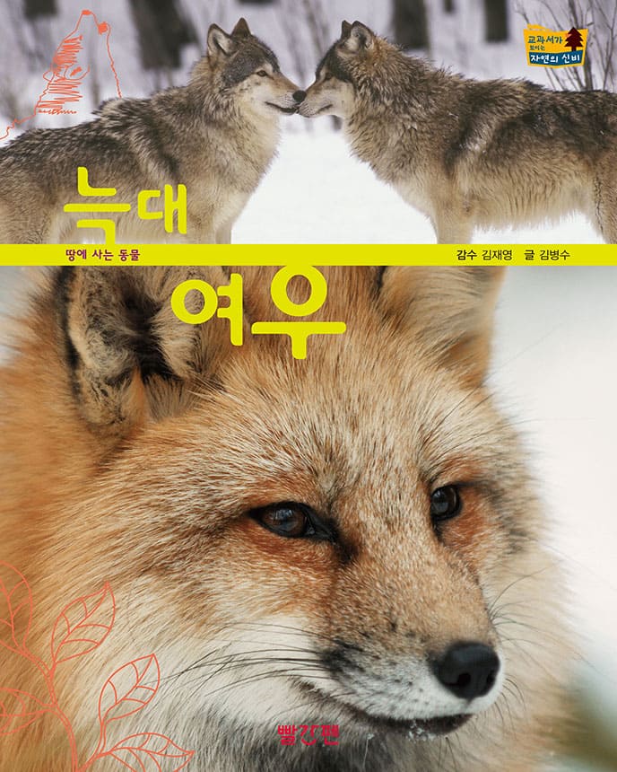 늑대·여우 이미지