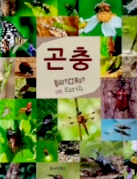 곤충 이미지