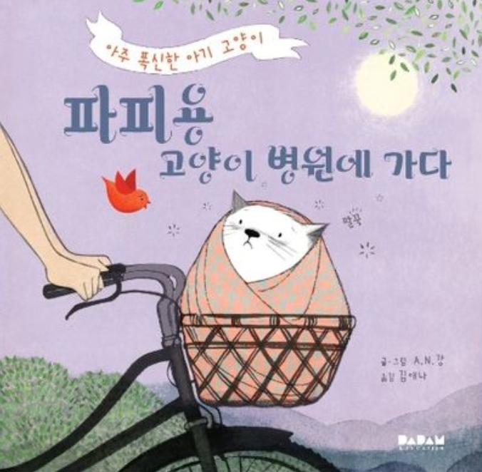 파피용 고양이 병원에 가다 이미지