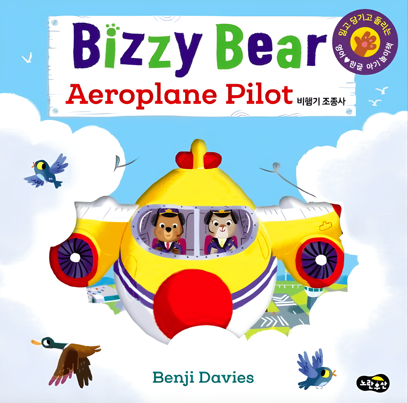 Airplane Pilot (비행기 조종사) 이미지