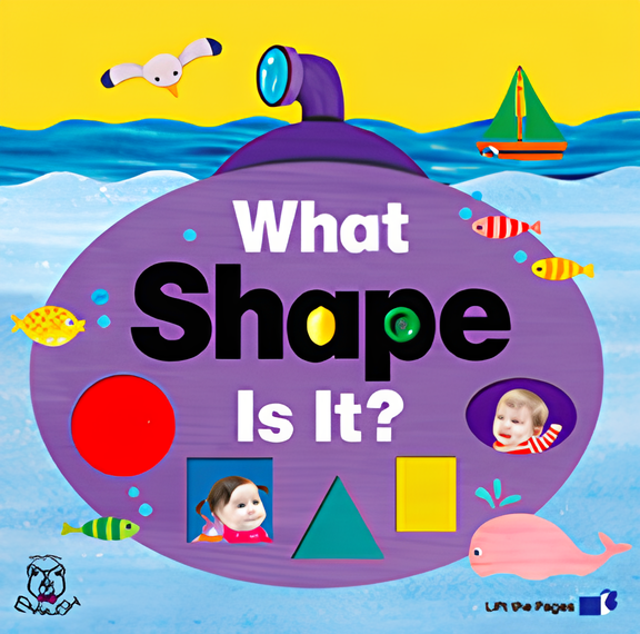 What Shape Is It? 이미지