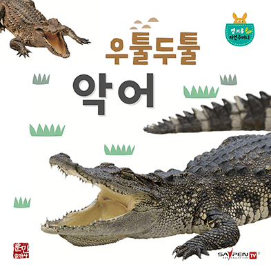 우둘투둘 악어 이미지
