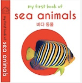 sea animals 바다 동물 이미지