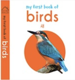 birds 새 이미지