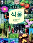 식물 이미지