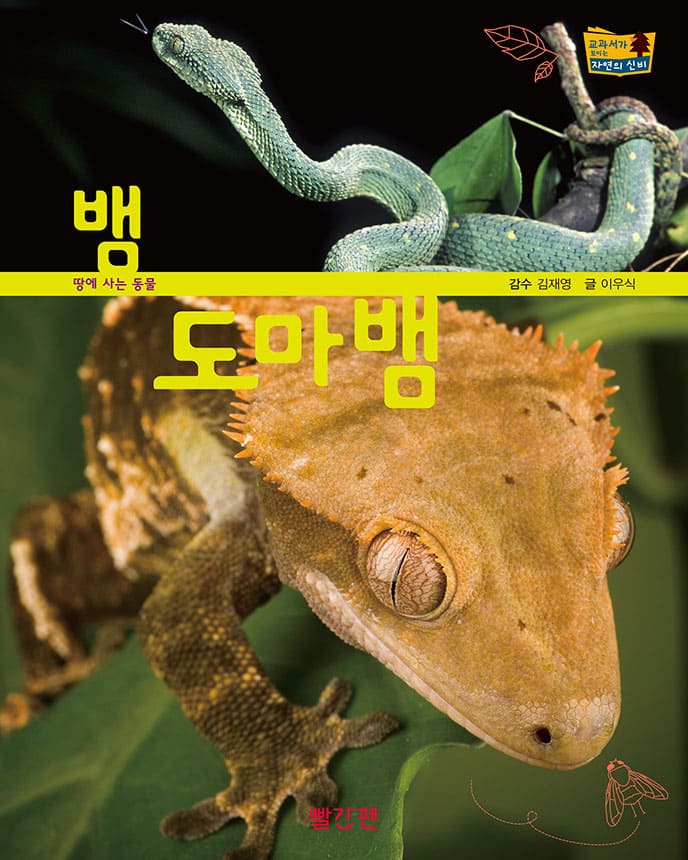 뱀·도마뱀 이미지