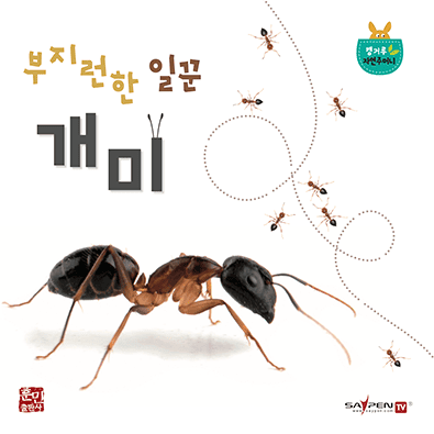 부지런한 일꾼 개미 이미지
