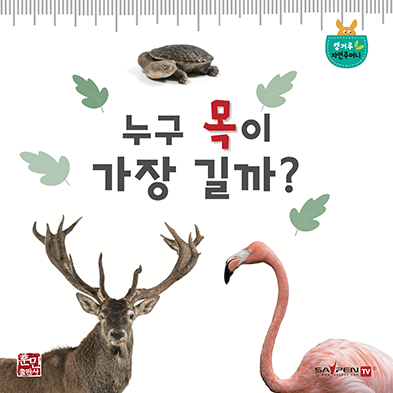 누구 목이 가장 길까 이미지