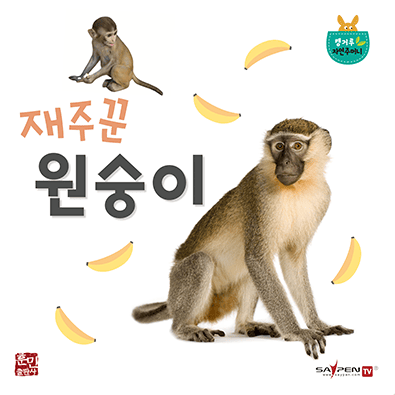 재주꾼 원숭이