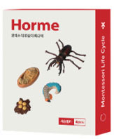 사슴벌레 이미지