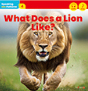 A-4 What Does a Lion Like? 이미지