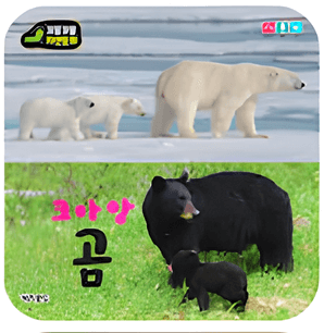 크아앙 곰 이미지