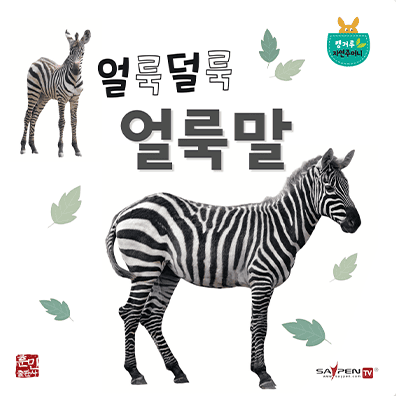 얼룩덜룩 얼룩말