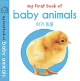 baby animals 아기동물