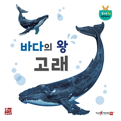 바다의 왕 고래