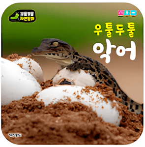 우툴두툴 악어 이미지