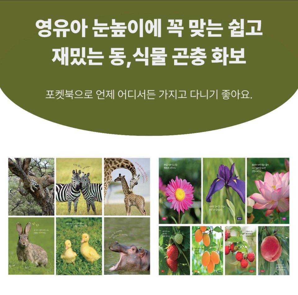 어린이 포켓 도감 카드뉴스 1