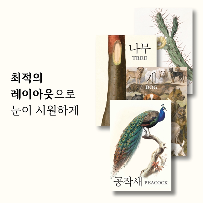 바바 클래식 낱말카드1 - 동물, 식물, 곤충, 과일 카드뉴스 3