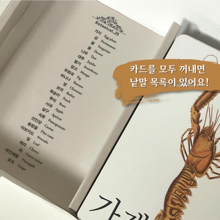 바바 클래식 낱말카드1 - 동물, 식물, 곤충, 과일 카드뉴스 7