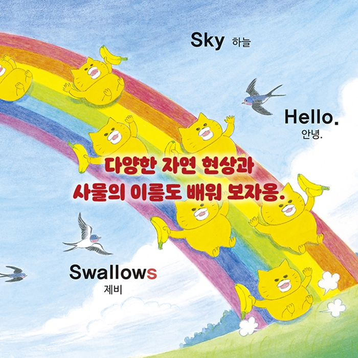 우리아이 첫 영어책 우당탕탕 야옹이  카드뉴스 2