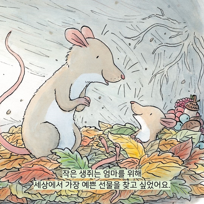 세상에서 가장 예쁜 선물 카드뉴스 0