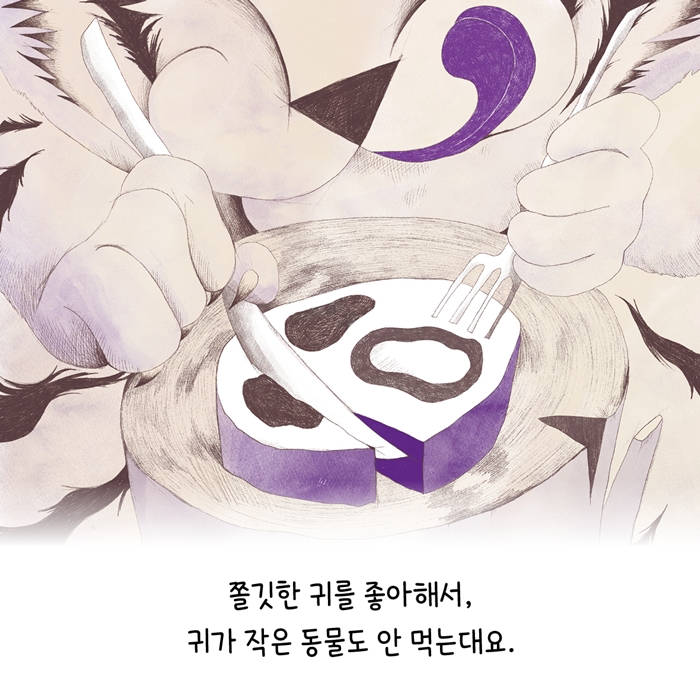 입맛 까다로운 호랑이 카드뉴스 3