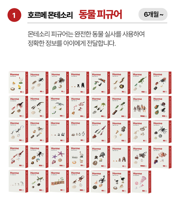 호르메 한살이 피규어 (46종) 카드뉴스 0