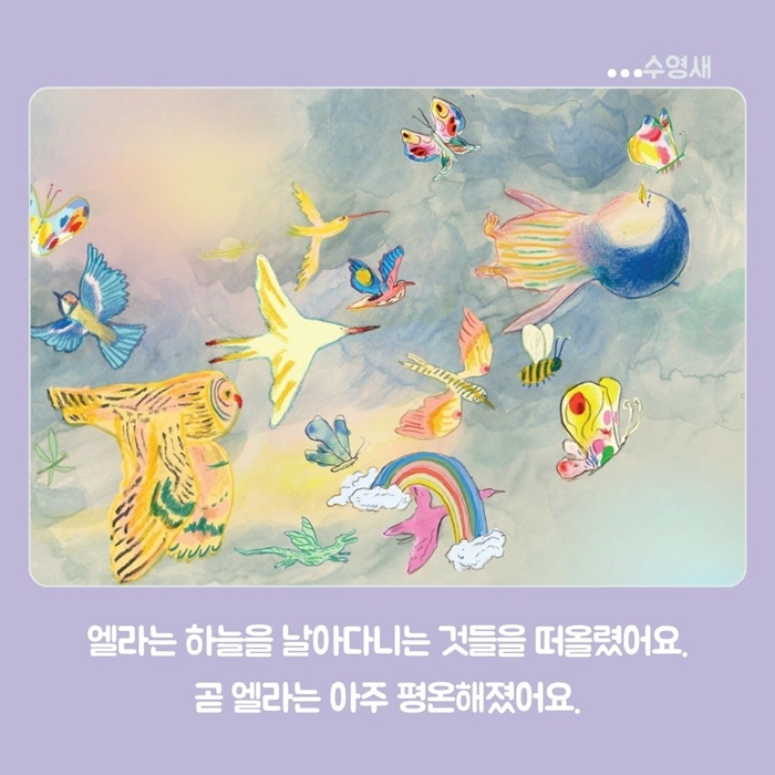 수영새 카드뉴스 5