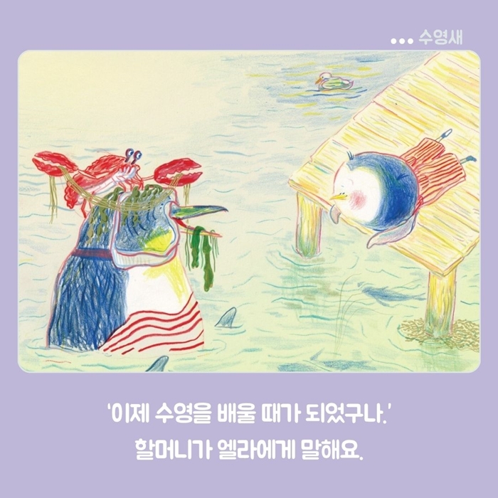 수영새 카드뉴스 2