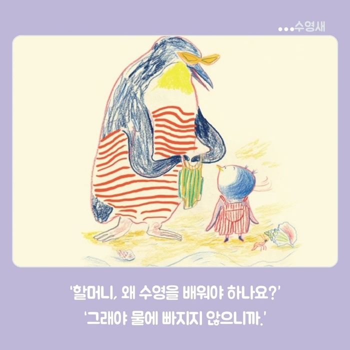수영새 카드뉴스 3
