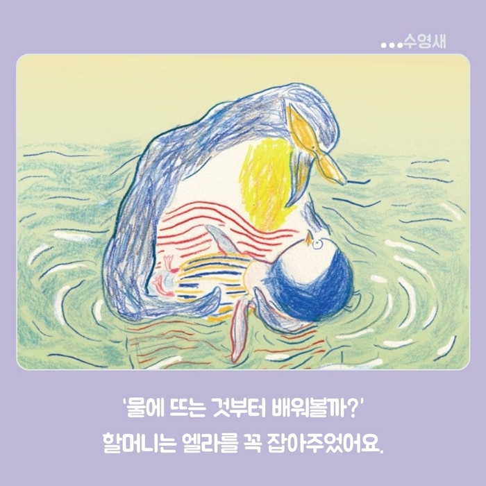 수영새 카드뉴스 4