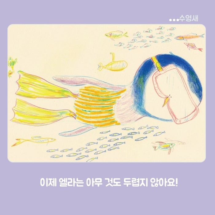 수영새 카드뉴스 6