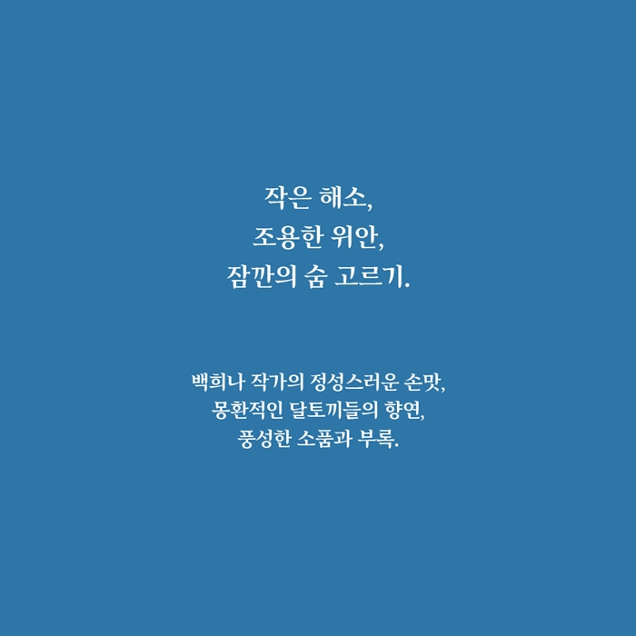 구멍청 카드뉴스 5