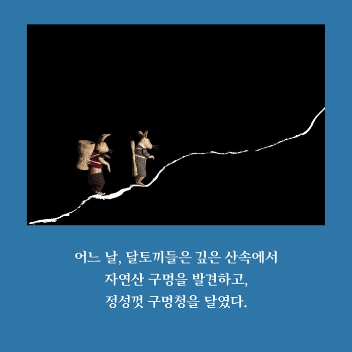 구멍청 카드뉴스 1