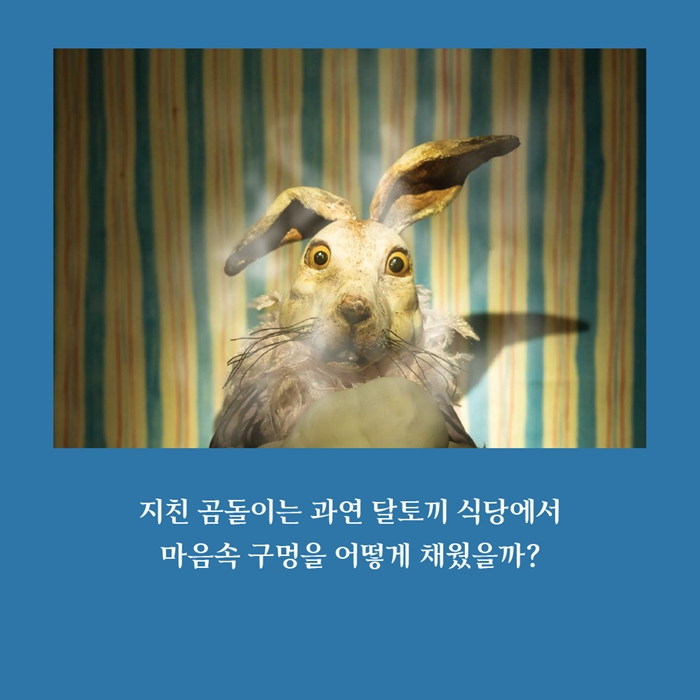 구멍청 카드뉴스 4