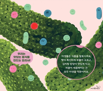 앗, 내 코에 미생물이 산다고? 카드뉴스 4
