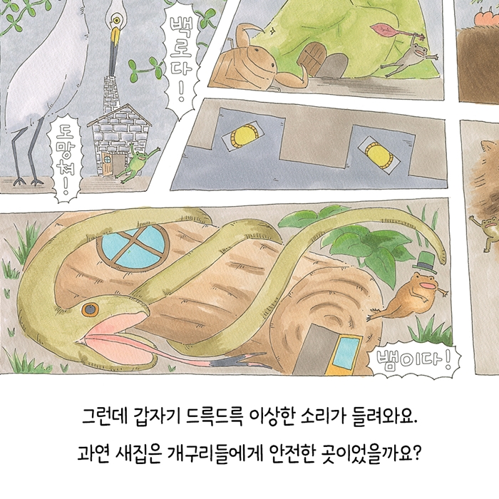 참개구리의 집 찾기 대소동 카드뉴스 8