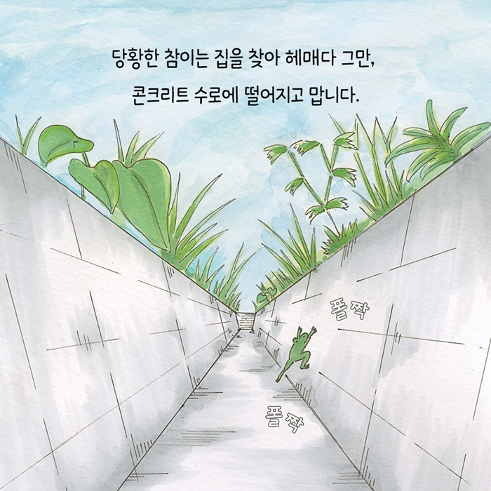 참개구리의 집 찾기 대소동 카드뉴스 1