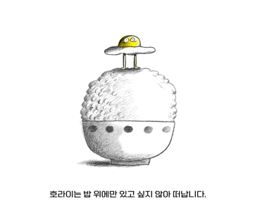 호라이호라이 카드뉴스 2