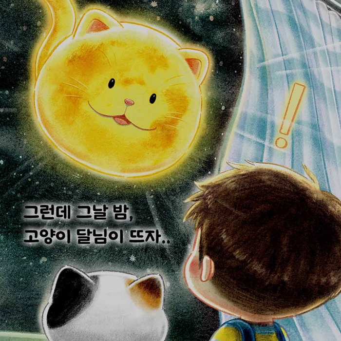 고양이 세수 카드뉴스 3