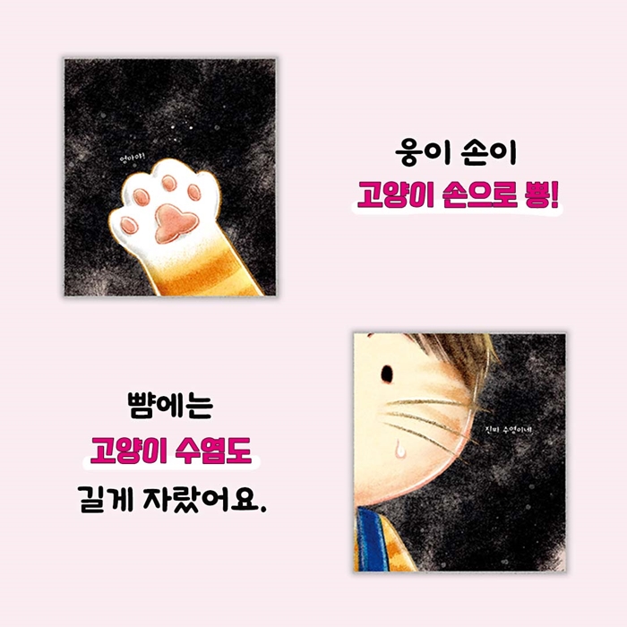 고양이 세수 카드뉴스 5