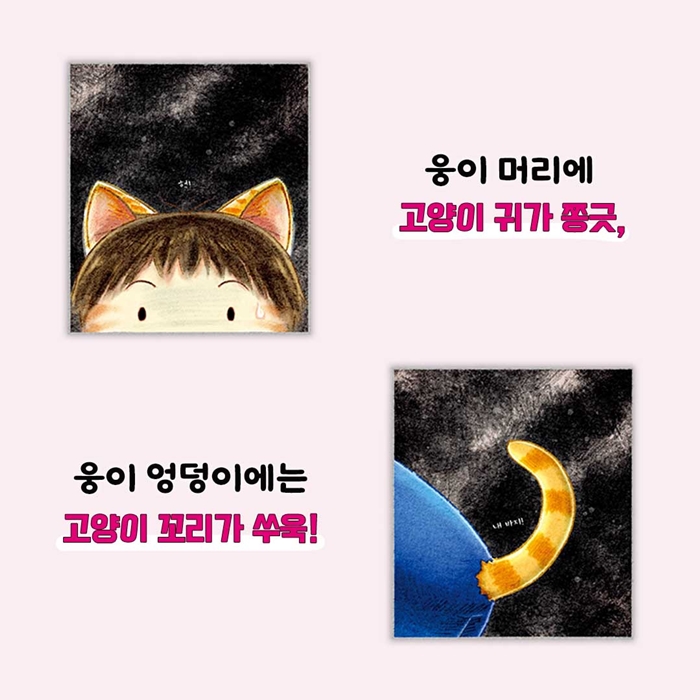 고양이 세수 카드뉴스 4