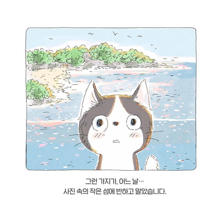 우리, 섬에 가 보자! 카드뉴스 4