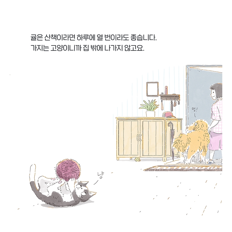 우리, 섬에 가 보자! 카드뉴스 3