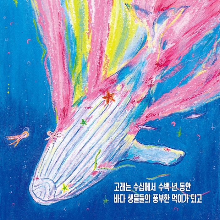 고래 낙하 카드뉴스 3